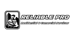 reliable pro 3